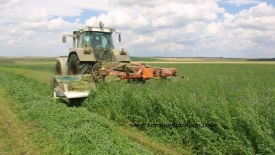 2025 Yılı Yem Bitkileri Desteği Askıya Çıktı