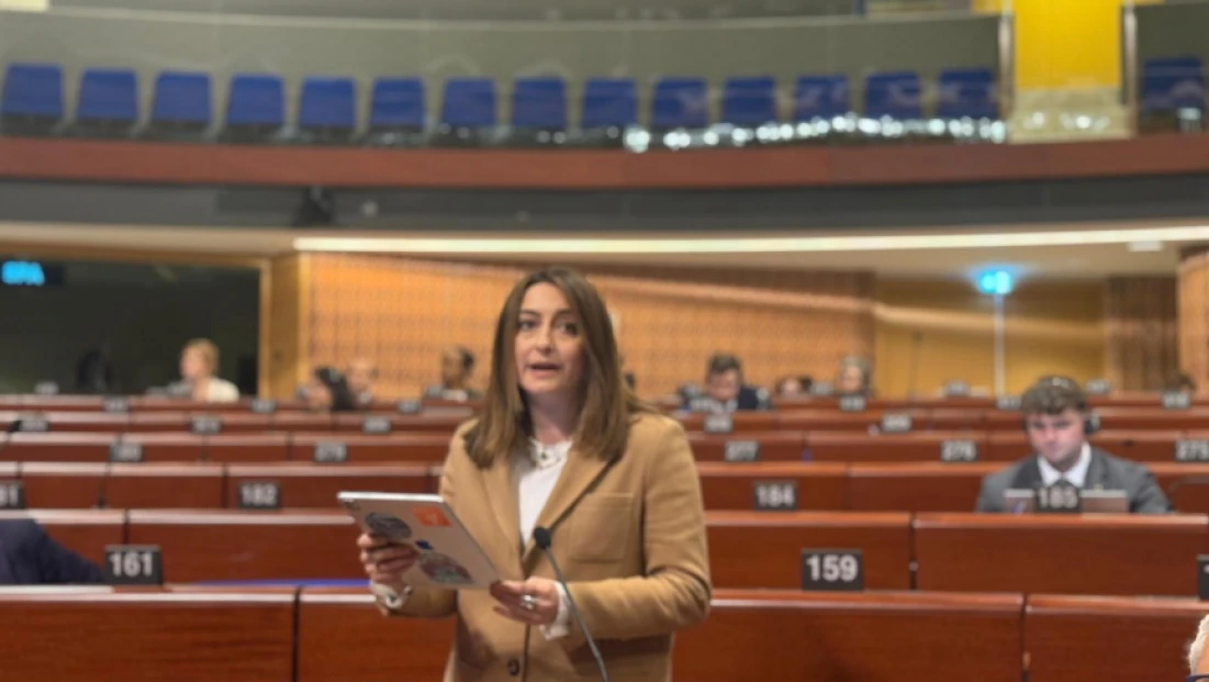 Bankoğlu’ndan Avrupa Parlamentosu’nda Sert Çıkış