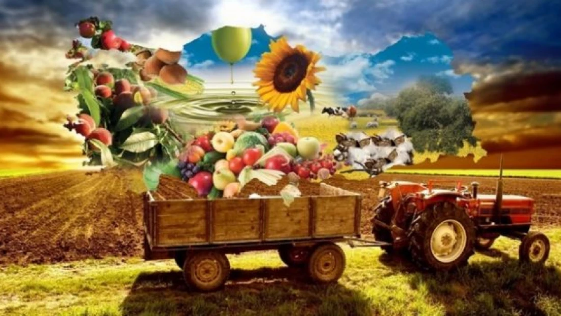 Bartın ve Türkiye genelinde tarımsal üretimde düşüş bekleniyor