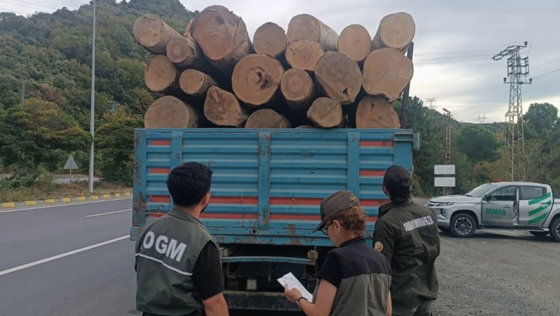 Kaçak Orman Ürünlerine Dijital Önlem