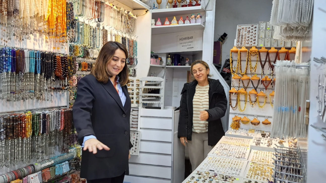 Bankoğlu: '2026, AK Parti'nin küçük esnafı bitirme yılıdır!'