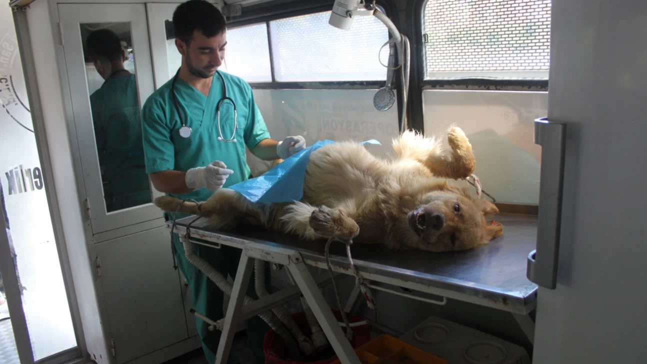 Başkan Çakır'dan Eleştirilere Yanıt