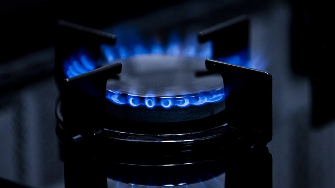 Doğal Gaz Tüketim Desteği Ocak Ödemeleri Yapıldı