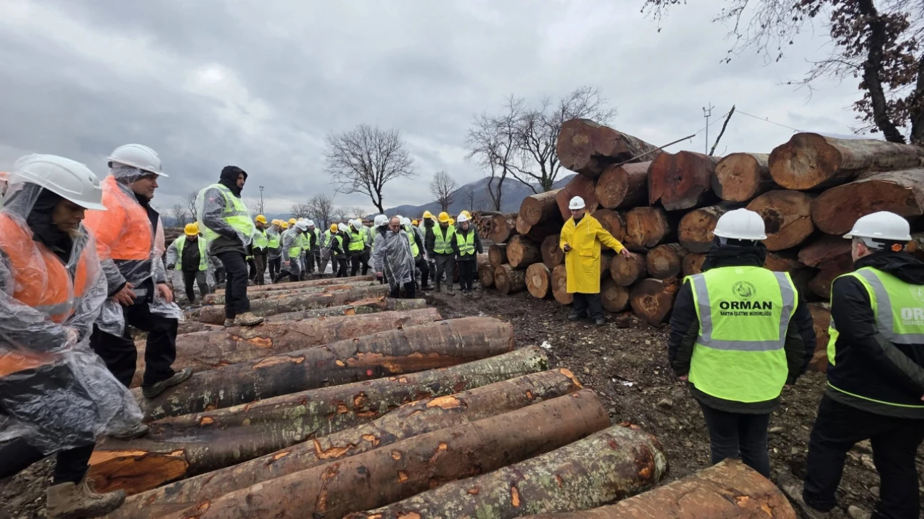 Orman Üretiminde 'Standart Dışı'na Geçit Yok