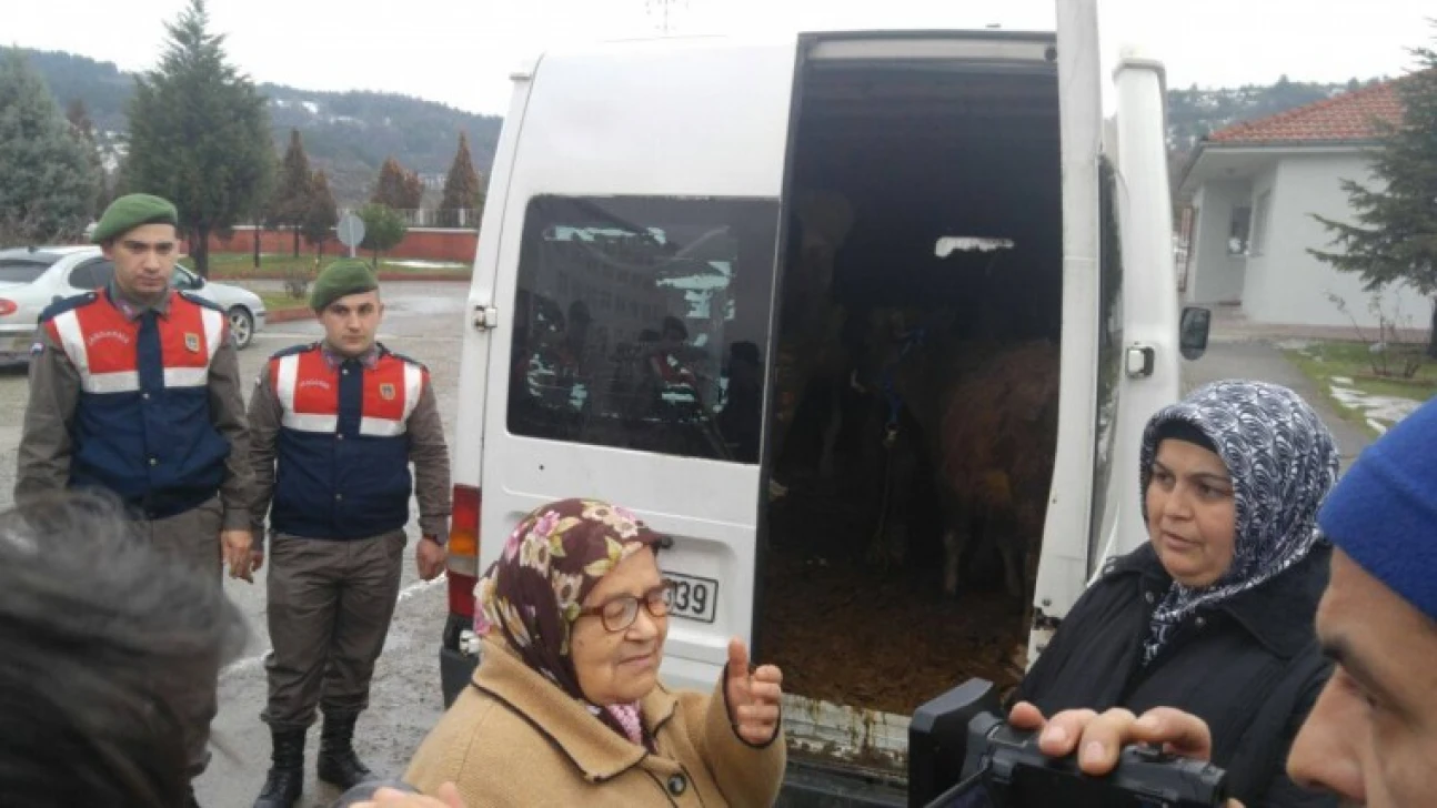 Hayvan hırsızlığı şebekesi çökertildi