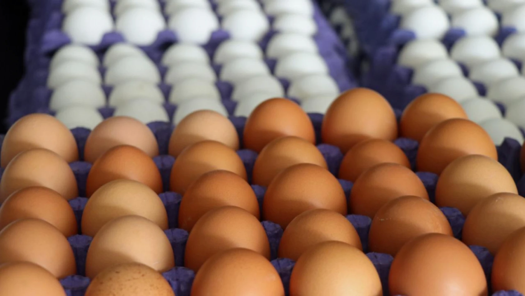 1,64 milyar adet yumurta ürettik