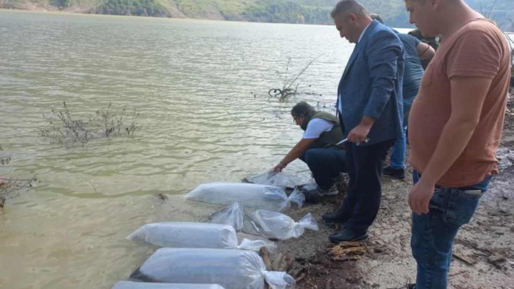 85 bin sazan yavrusu baraj gölüne bırakıldı