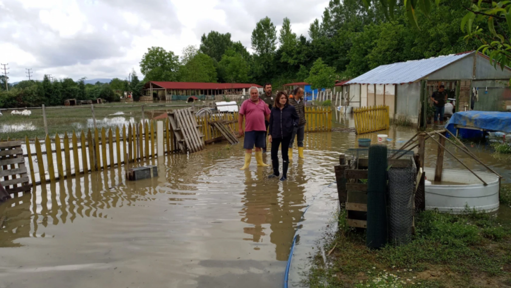 Bankoğlu, yağışlardan zarar gören bölgeleri inceledi