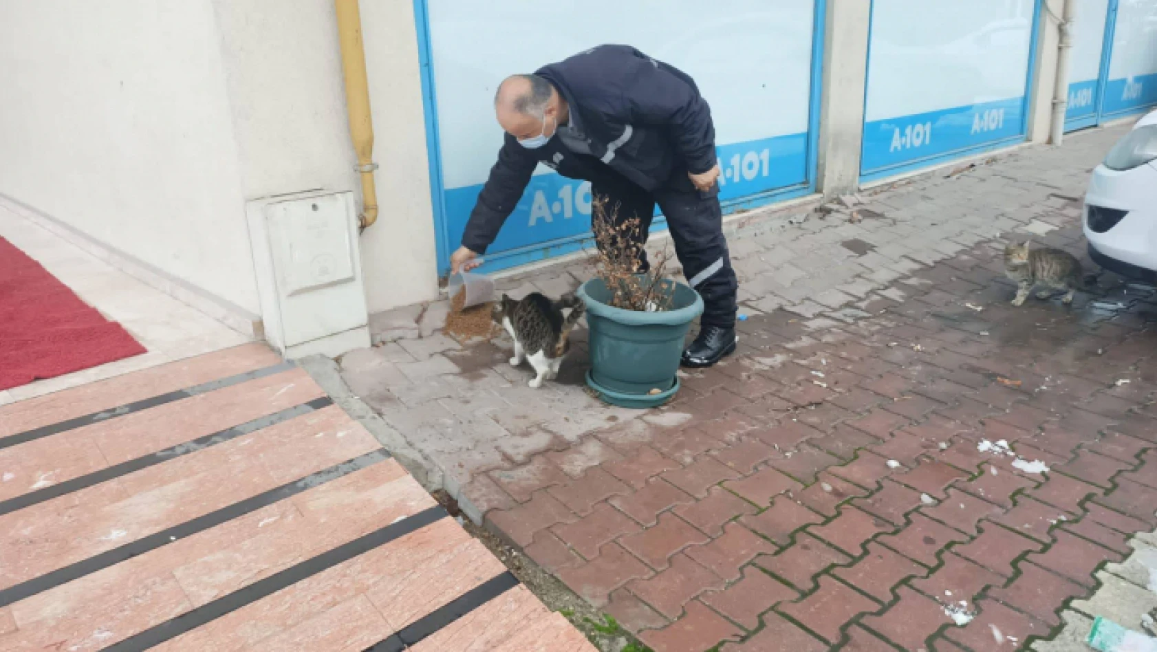 Belediye sokak hayvanlarını unutmadı