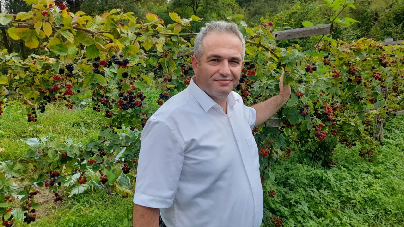Böğürtlen ve kızılcık hasadı yapıldı