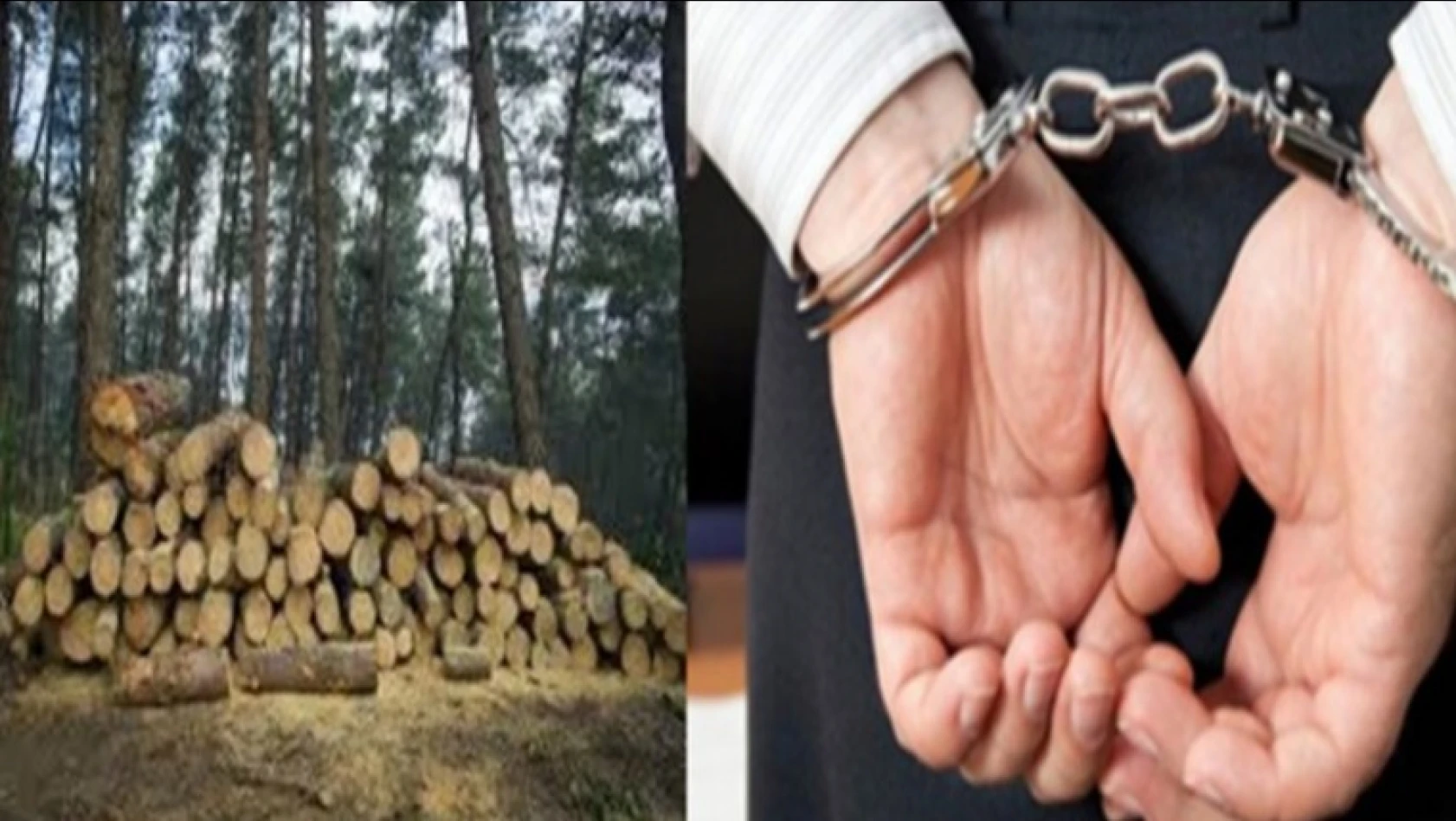 Ulus Orman İşletme Müdürü tutuklandı