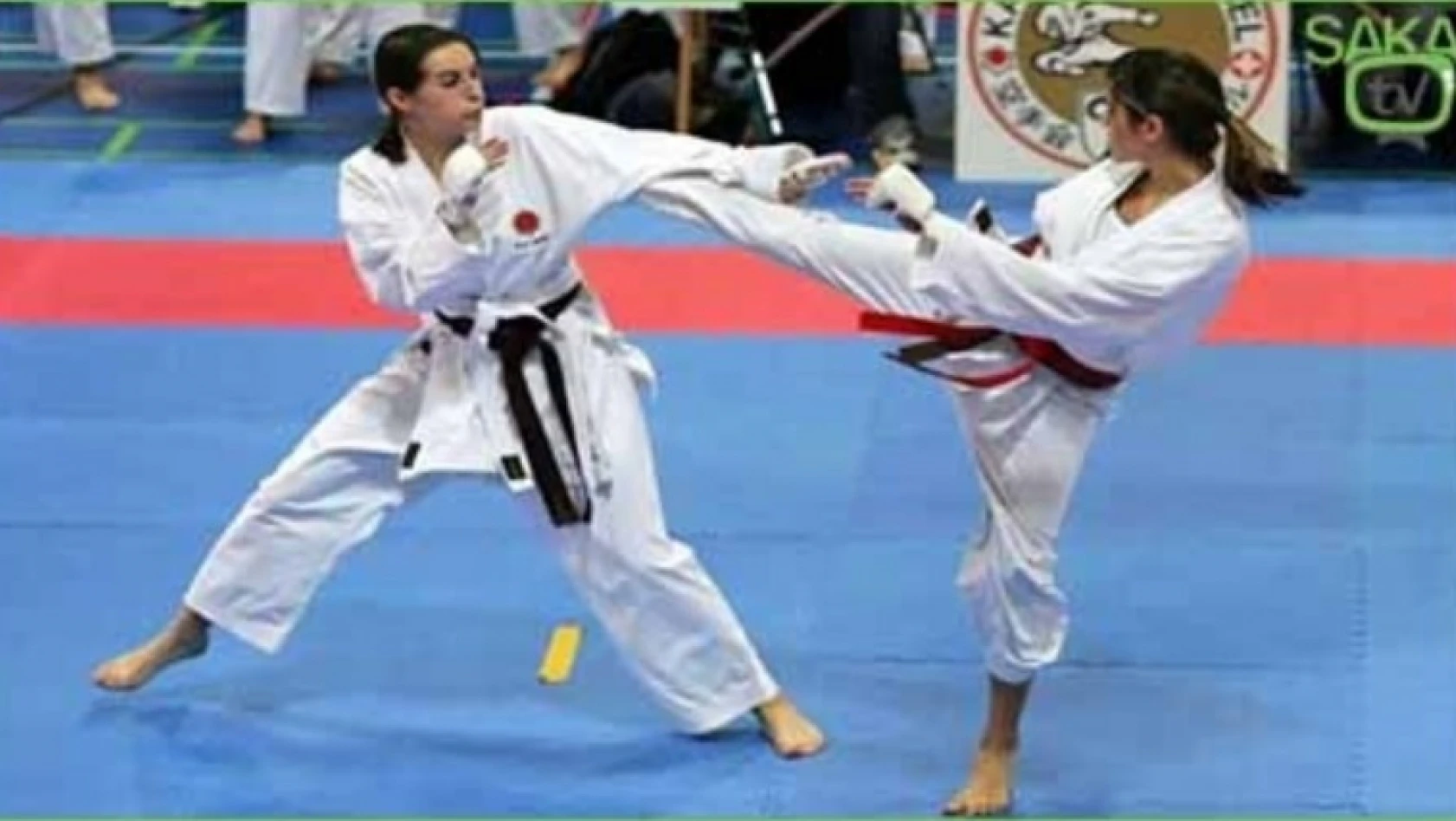 Karate Antrenörlüğü kursu Bartın'a alındı