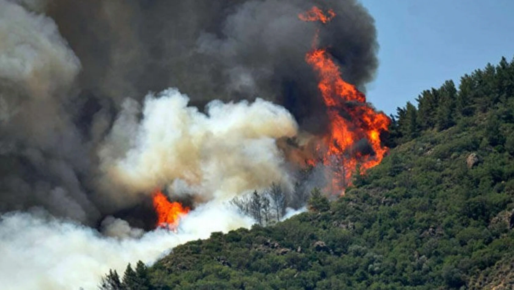'Orman yangınlarının yüzde 90'ından fazlası insan kaynaklı'