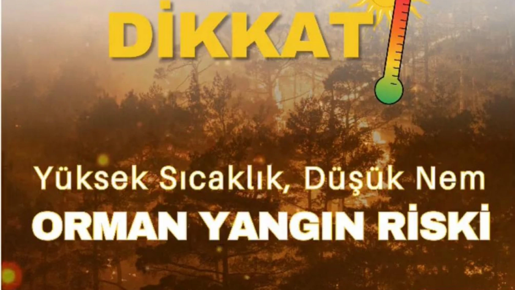 Valilikten bir orman yangını uyarısı daha!