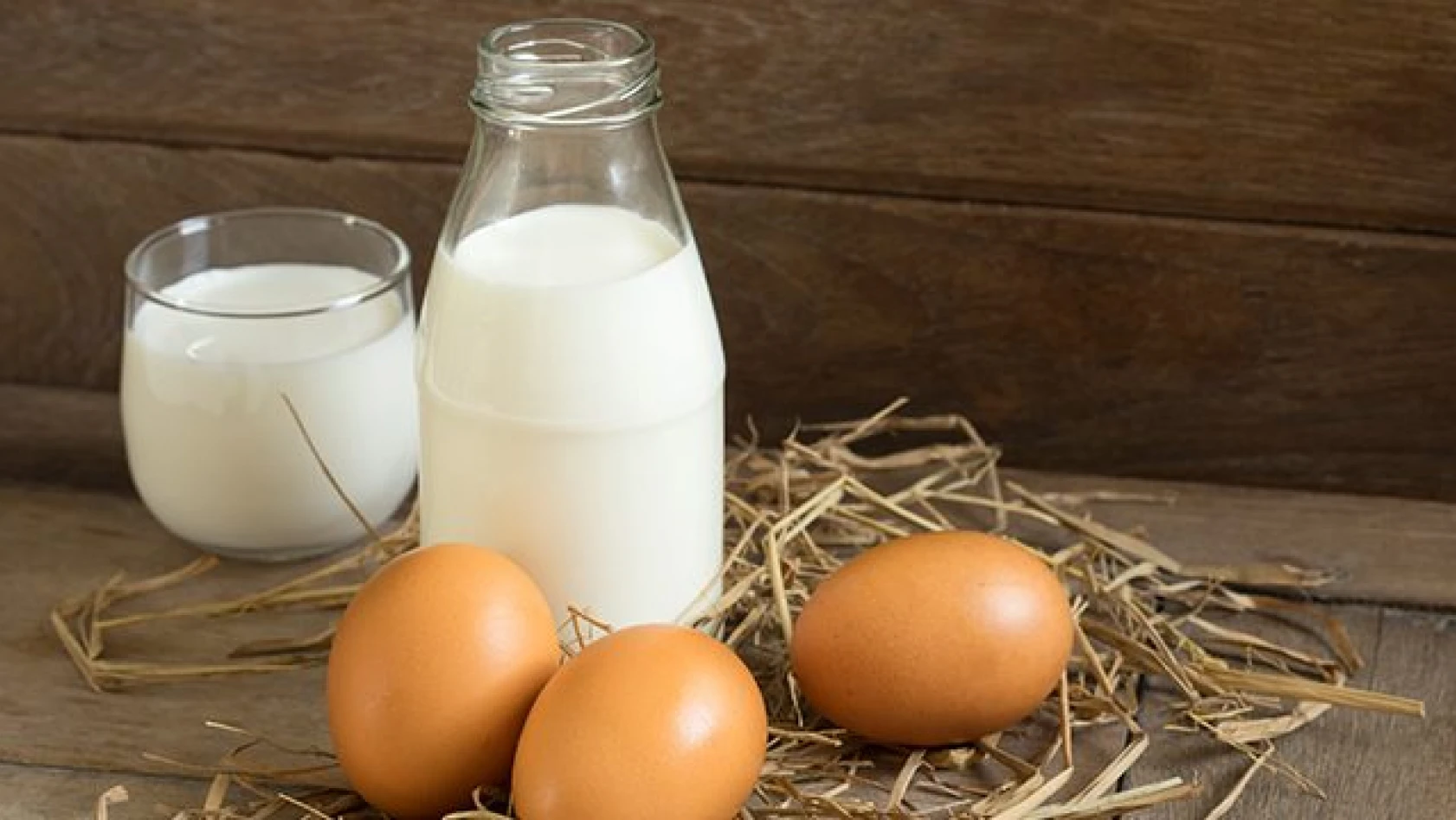 Yumurta ve süt üretimi arttı