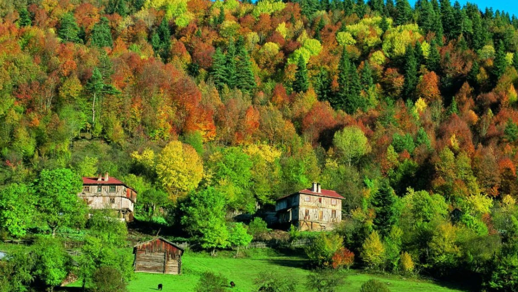 Fotoğraf yarışmasına başvurular bugün sona eriyor