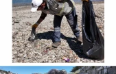 Amasra sezona hazırlanıyor