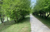 Yeşil alanlar temizleniyor