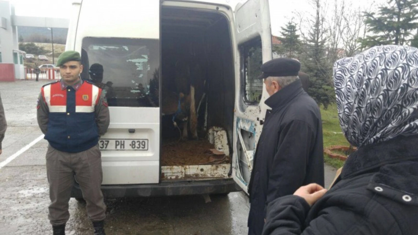 Hayvan hırsızlığı şebekesi çökertildi