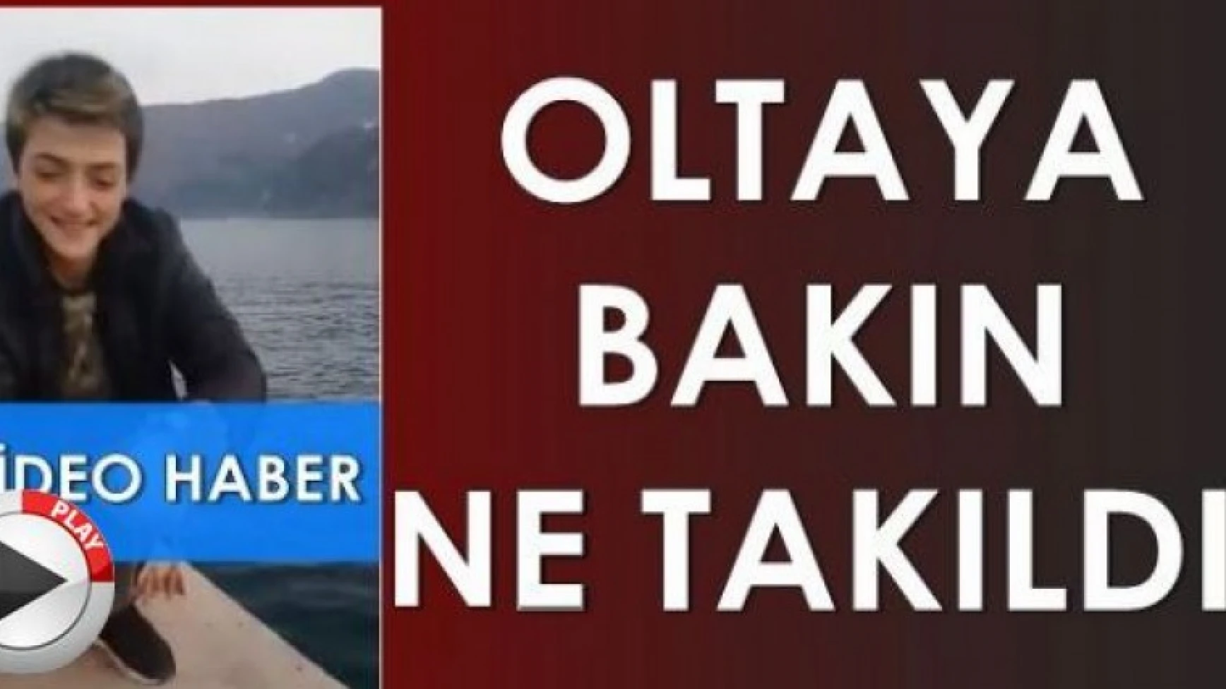 Amasra’da bir balıkçının oltasına martı takıldı.