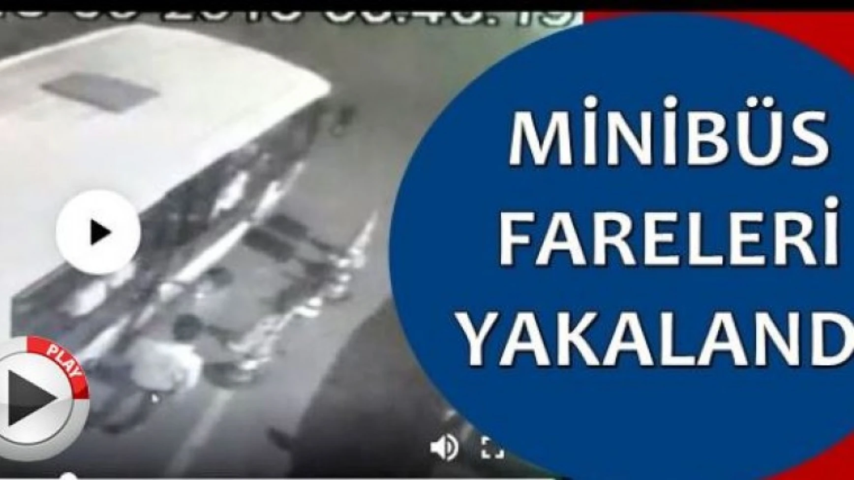 Minibüs fareleri yakalandı