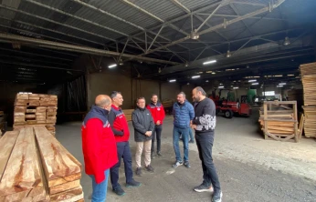 Ahşap Ambalaj Üretiminde Teknoloji ve Mühendislik İncelemesi