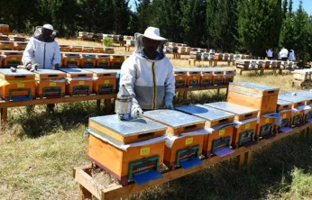 Arıcılık Destek Başvuruları İçin Askı Süreci Başladı