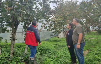 Bartın'da Fındıkta Verim ve Kalite İçin Eğitim Seferberliği