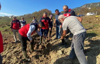 Bartın'ın İlk Modern Tek Dal Fındık Bahçesi Kuruldu