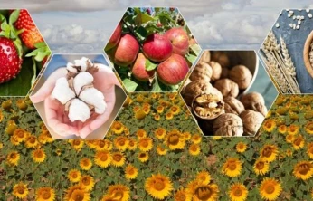 Bartın ve Türkiye genelinde tarımsal üretimde düşüş bekleniyor