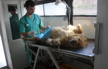 Başkan Çakır'dan Eleştirilere Yanıt