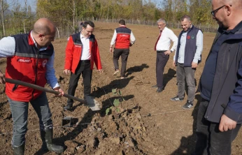 Genç Çiftçiye Devlet Desteğiyle Fındık Bahçesi Kuruldu