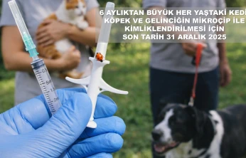 Kimliklendirmeyenlere İdari Yaptırım Uygulanacak