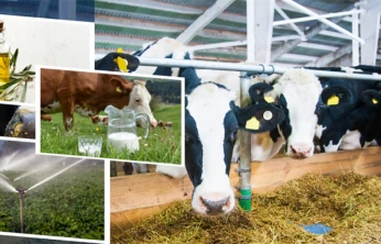 Tarımsal Destekler Yatırılıyor