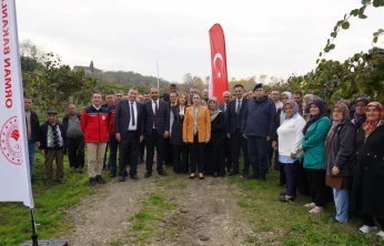 Terkehaliller'de Kivi Hasat Şenliği