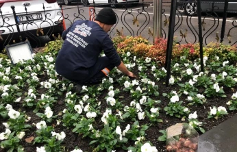 Yeşil Bartın İçin Çalışmalar Devam Ediyor