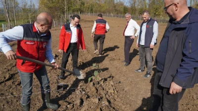 Genç Çiftçiye Devlet Desteğiyle Fındık Bahçesi Kuruldu