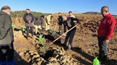 İnkumu'ndaki Eski Maden Sahası Yeniden Yeşeriyor