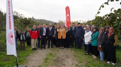 Terkehaliller'de Kivi Hasat Şenliği