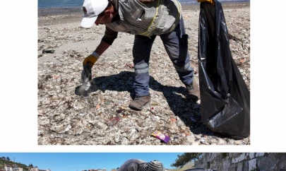 Amasra sezona hazırlanıyor