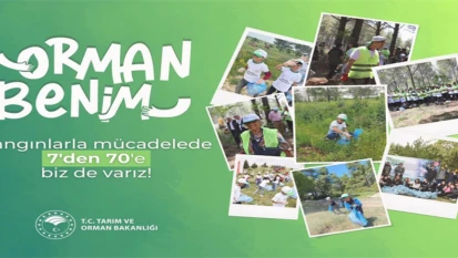 Bartın'da 'Orman Benim' etkinliği