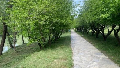 Yeşil alanlar temizleniyor