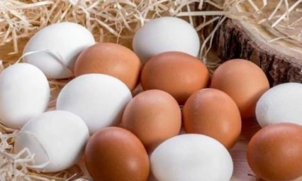 1,84 milyar adet yumurta ürettik