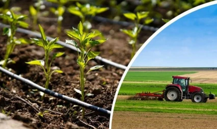 Bartın'da Tarım ve Hayvancılığa TARSİM Güvencesi