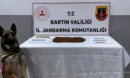 Bartın'da Uyuşturucu Operasyonu: 1 Kişi Tutuklandı