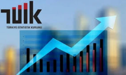 Tarımsal girdi fiyat endeksi arttı
