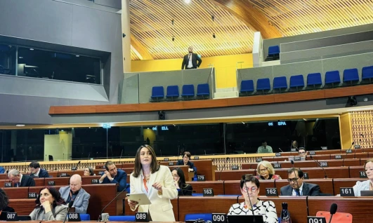 Avrupa Konseyi Parlamenter Meclisi Türkiye Gündemiyle Toplandı