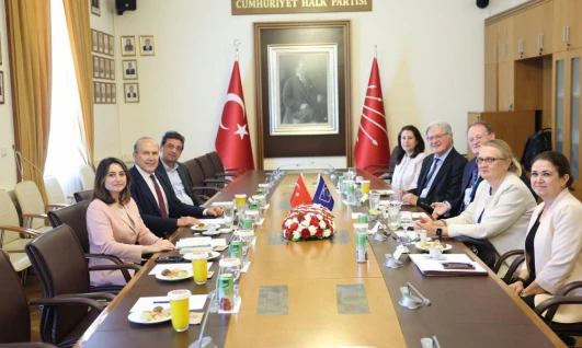 Bankoğlu, Avrupa Konseyi ile Türkiye'deki Gelişmeleri Görüştü