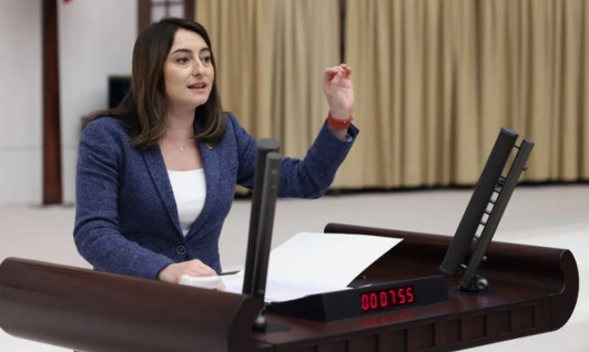 Bankoğlu'ndan Gençlik ve Spor Bakanlığı Bütçesine Tepki