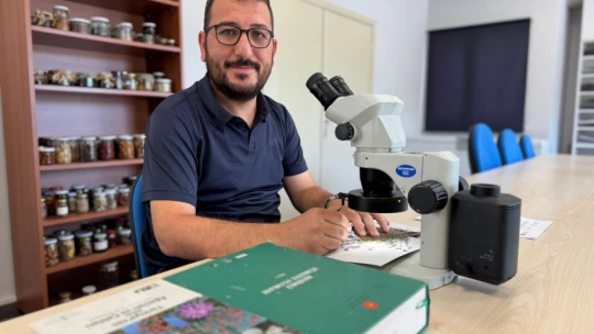BARÜ'den bilim dünyasına yeni bir bitki türü kazandırıldı